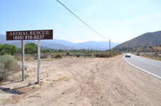 Enlarge photo 30