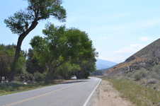Enlarge photo 31