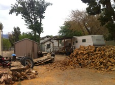 Enlarge photo 16