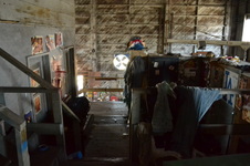 Enlarge photo 51