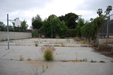 Enlarge photo 16