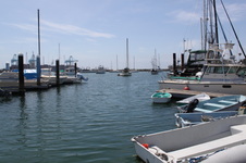 Enlarge photo 17