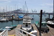 Enlarge photo 10
