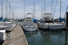 Enlarge photo 30