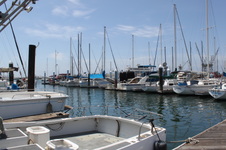 Enlarge photo 33
