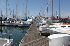 Enlarge photo 34