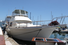The Dayoos Marina