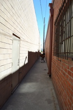 Enlarge photo 17