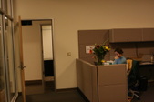 Enlarge photo 61