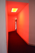 Enlarge photo 65