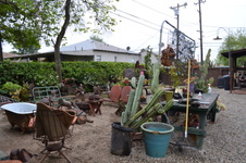 Enlarge photo 35