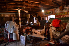 Enlarge photo 61