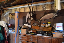 Enlarge photo 64