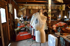 Enlarge photo 65
