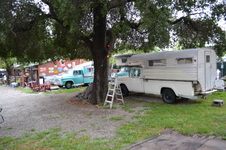 Enlarge photo 95