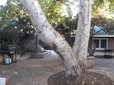 Enlarge photo 4