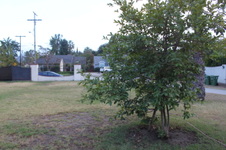 Enlarge photo 2