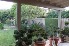 Enlarge photo 2