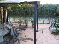 Jax Back Yard
