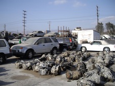 Enlarge photo 31