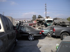 Enlarge photo 33