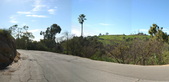 Elysian Park