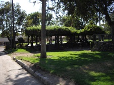 Enlarge photo 14