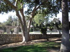 Enlarge photo 16