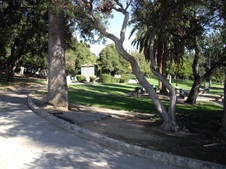 Enlarge photo 28