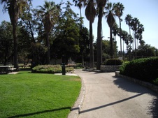Enlarge photo 35