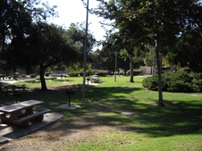 Enlarge photo 41