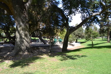 Enlarge photo 10