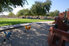 Enlarge photo 35