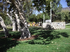 Enlarge photo 11
