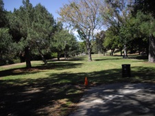 Enlarge photo 17