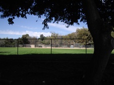 Enlarge photo 30