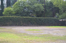 Enlarge photo 28