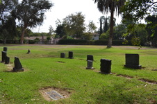 Enlarge photo 34