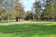 Enlarge photo 35