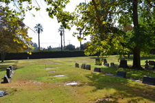Enlarge photo 37