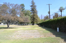 Enlarge photo 39