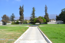 Enlarge photo 7