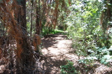 Enlarge photo 2