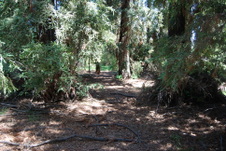 Enlarge photo 3
