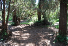Enlarge photo 4