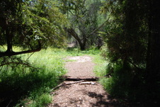 Enlarge photo 7