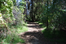 Enlarge photo 10