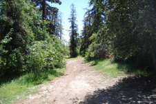 Enlarge photo 11