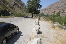 Big Tujunga Road
