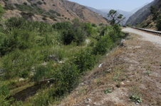 Enlarge photo 10